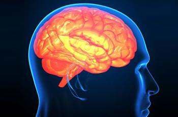 Beyin Apsesi Belirtisi