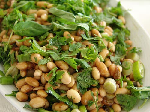 Soyafasulyesi Yararları