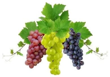 Üzüm Neye İyi Gelir?