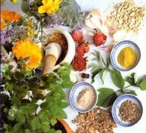 Şifalı Bitkilerin Toplanması ve Kurutulması