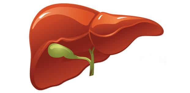 KRONİK HEPATİT