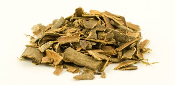 Amberkabuğu