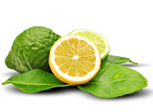 Bergamot