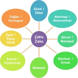 Çoklu Zeka