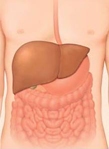 Kronik Hepatit