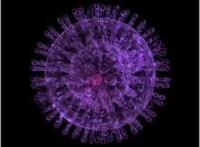 Herpes Simpleks (HSV) Virüs