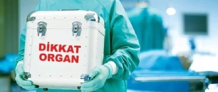 Organ Nakli