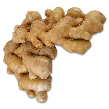 Zencefil