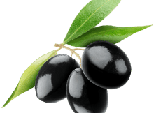 Zeytin