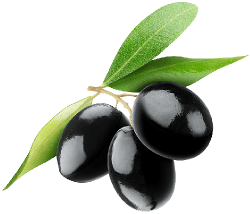Zeytin